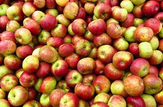 Apple diet